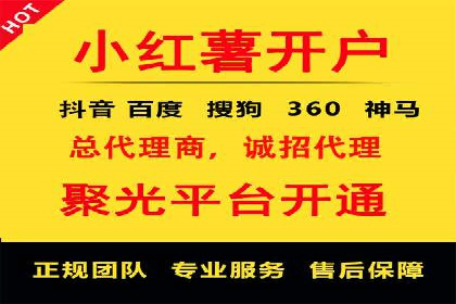 SEM代运营机构案例分析：优化策略详解